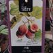 Інжир Фікус Каріка (Ficus carica) 2157 фото 3