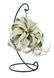 Тілландсия Ксерографика (Tillandsia xerographica) 2818 фото 2