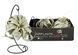 Тілландсия Ксерографика (Tillandsia xerographica) 2818 фото 3