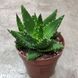 75 фото 1