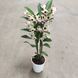 254 фото 2