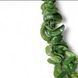 Хойя Карноза Компакта (Hoya Carnosa Compacta)д9 2876 фото 2