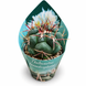 Телокактус Гексаедрофорус (Thelocactus hexaedrophorus) д6.5 3474 фото 1
