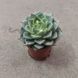 452 фото 1