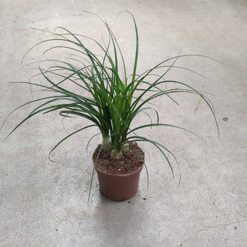 910 фото